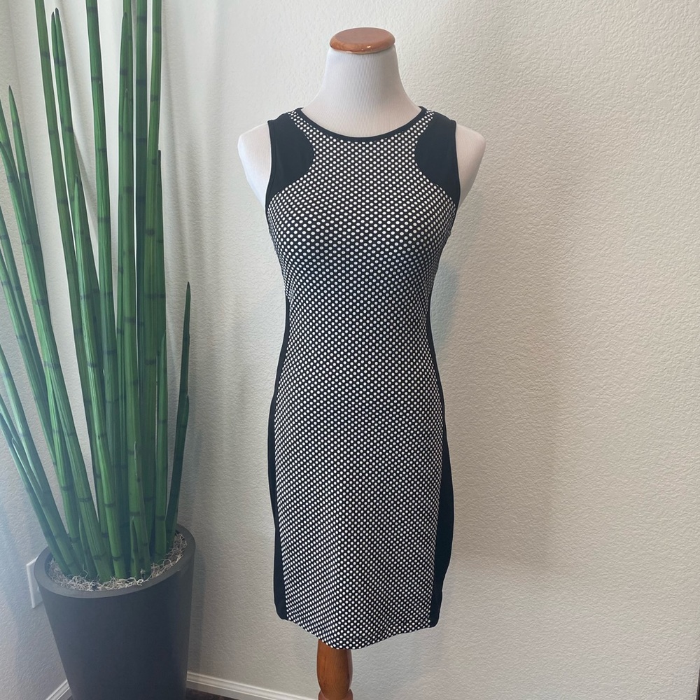 Arianne Sleek Figure Flattering Dress